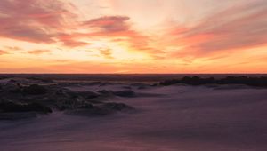 Preview wallpaper desert, sand, bushes, horizon, twilight, sunset