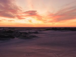 Preview wallpaper desert, sand, bushes, horizon, twilight, sunset