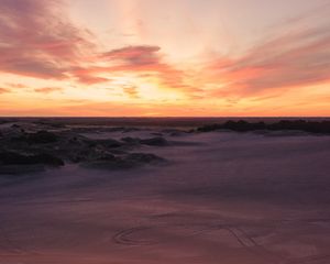 Preview wallpaper desert, sand, bushes, horizon, twilight, sunset