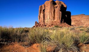 Preview wallpaper desert, sand, canyon, vegetation, grass