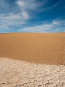 Preview wallpaper desert, sand, dry, landscape, nature