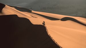 Preview wallpaper desert, sand, dune, man, traces