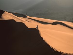 Preview wallpaper desert, sand, dune, man, traces