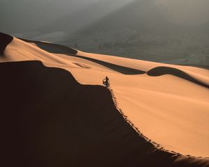 Preview wallpaper desert, sand, dune, man, traces