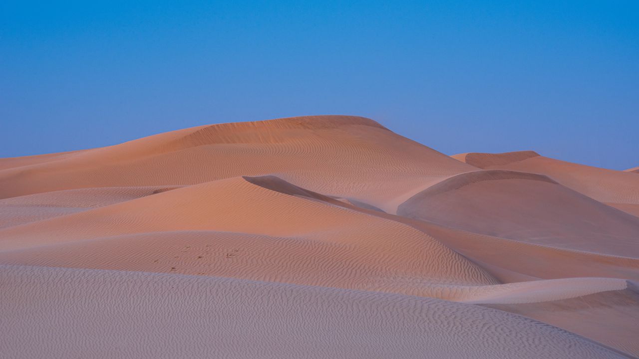 Wallpaper desert, sand, dune