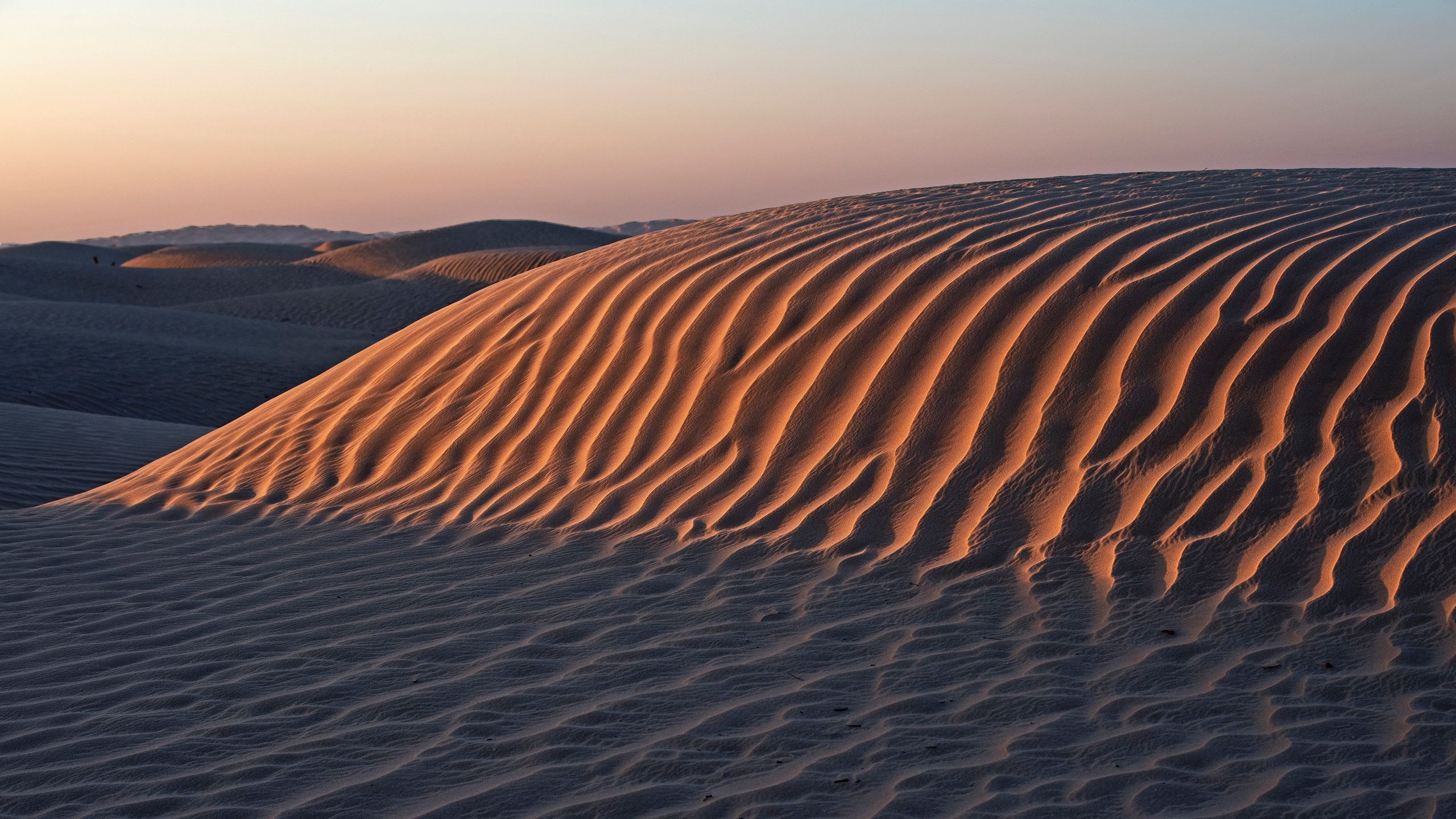 Download Wallpaper 2560x1440 Desert Sand Dunes Hills Landscape