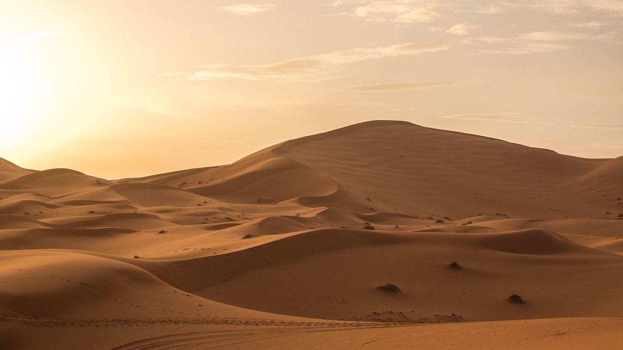Wallpaper desert, sand, dunes, horizon
