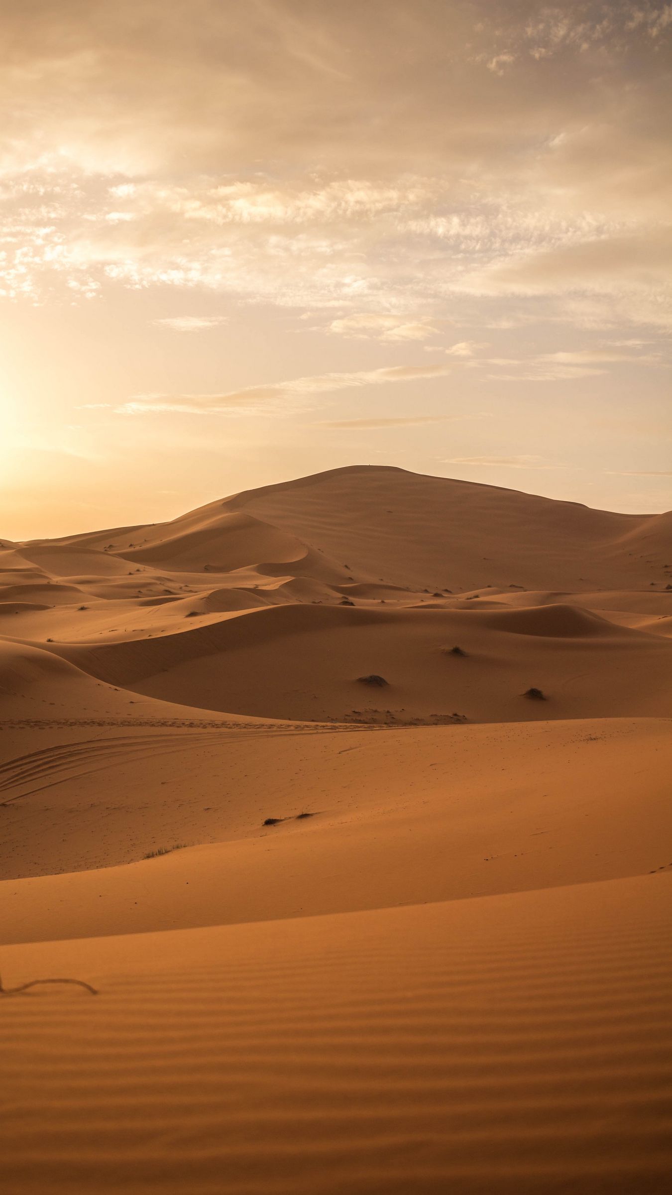 Download wallpaper 1350x2400 desert, sand, dunes, horizon iphone  8+/7+/6s+/6+ for parallax hd background