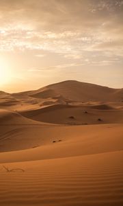 Preview wallpaper desert, sand, dunes, horizon