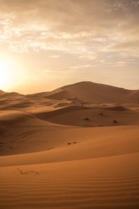 Preview wallpaper desert, sand, dunes, horizon