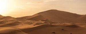 Preview wallpaper desert, sand, dunes, horizon