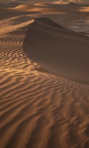 Preview wallpaper desert, sand, dunes, wavy