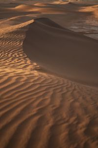 Preview wallpaper desert, sand, dunes, wavy