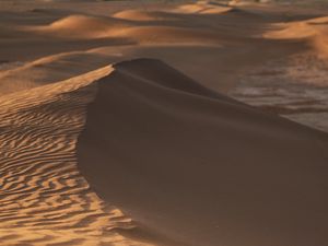 Preview wallpaper desert, sand, dunes, wavy
