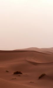 Preview wallpaper desert, sand, dunes, grass, horizon