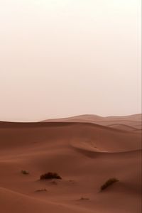 Preview wallpaper desert, sand, dunes, grass, horizon