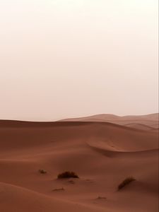 Preview wallpaper desert, sand, dunes, grass, horizon