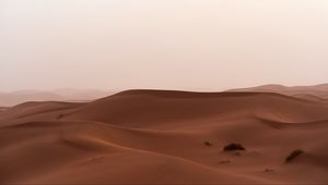 Preview wallpaper desert, sand, dunes, grass, horizon