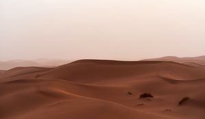 Preview wallpaper desert, sand, dunes, grass, horizon