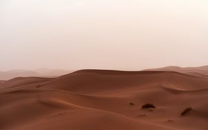Preview wallpaper desert, sand, dunes, grass, horizon