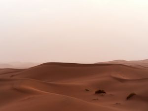 Preview wallpaper desert, sand, dunes, grass, horizon