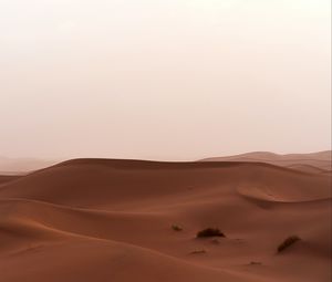 Preview wallpaper desert, sand, dunes, grass, horizon