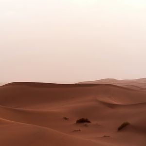 Preview wallpaper desert, sand, dunes, grass, horizon