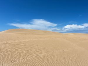 Preview wallpaper desert, sand, dunes, wavy, trace, sky