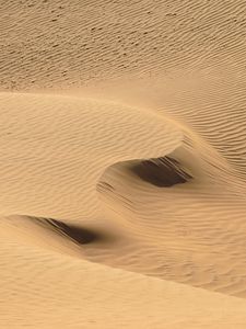 Preview wallpaper desert, sand, dunes, nature