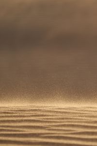 Preview wallpaper desert, sand, dust