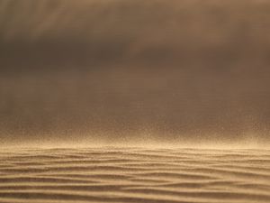 Preview wallpaper desert, sand, dust