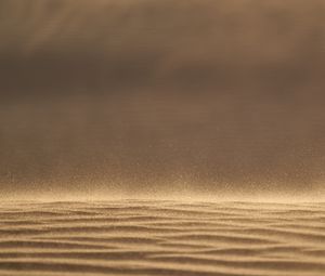 Preview wallpaper desert, sand, dust