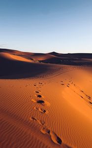 Preview wallpaper desert, sand, footprint, morocco