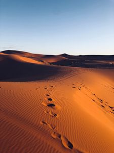 Preview wallpaper desert, sand, footprint, morocco