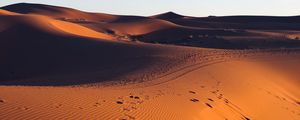 Preview wallpaper desert, sand, footprint, morocco