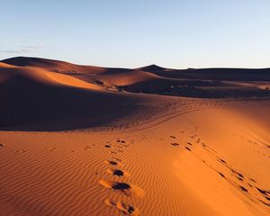 Preview wallpaper desert, sand, footprint, morocco