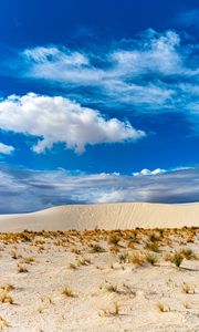 Preview wallpaper desert, sand, grass, dry, sky, clouds