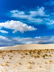 Preview wallpaper desert, sand, grass, dry, sky, clouds