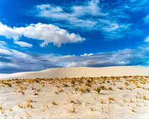 Preview wallpaper desert, sand, grass, dry, sky, clouds