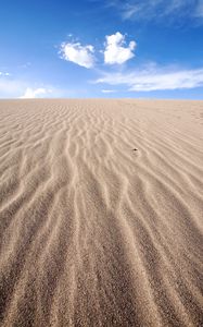 Preview wallpaper desert, sand, horizon, sky, dunes