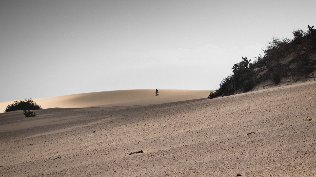 Wallpaper desert, sand, landscape, hilly, silhouettes