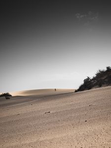 Preview wallpaper desert, sand, landscape, hilly, silhouettes