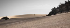 Preview wallpaper desert, sand, landscape, hilly, silhouettes