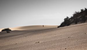 Preview wallpaper desert, sand, landscape, hilly, silhouettes