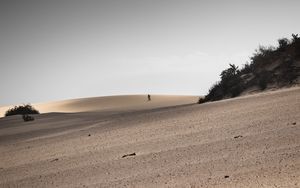 Preview wallpaper desert, sand, landscape, hilly, silhouettes