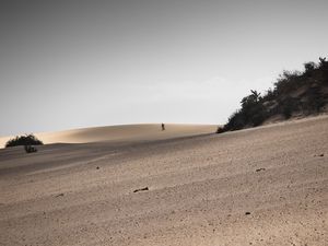 Preview wallpaper desert, sand, landscape, hilly, silhouettes