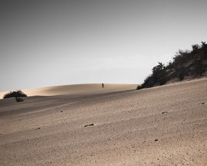 Preview wallpaper desert, sand, landscape, hilly, silhouettes