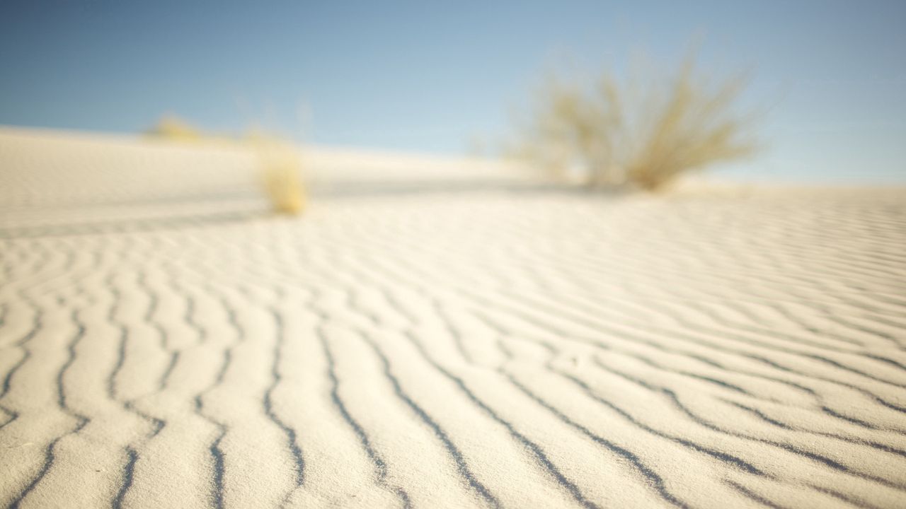 Wallpaper desert, sand, lines, makro