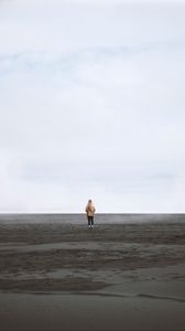 Preview wallpaper desert, sand, loneliness, horizon