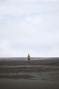 Preview wallpaper desert, sand, loneliness, horizon